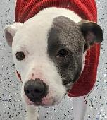 Darla  - SPECIAL NEEDS 